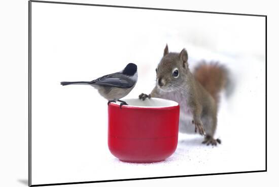 My Buddy Berry-Andre Villeneuve-Mounted Photographic Print