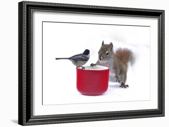 My Buddy Berry-Andre Villeneuve-Framed Photographic Print