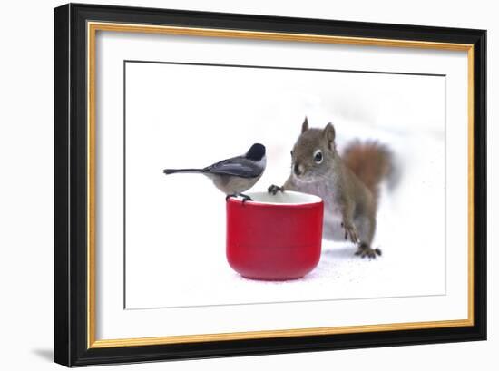 My Buddy Berry-Andre Villeneuve-Framed Photographic Print