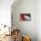 MY BUOY & MY MELON-Antje Wenner-Braun-Framed Premier Image Canvas displayed on a wall