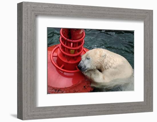 MY BUOY & MY MELON-Antje Wenner-Braun-Framed Photographic Print