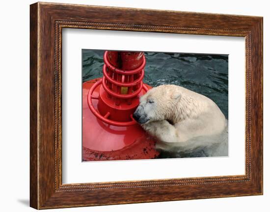 MY BUOY & MY MELON-Antje Wenner-Braun-Framed Photographic Print