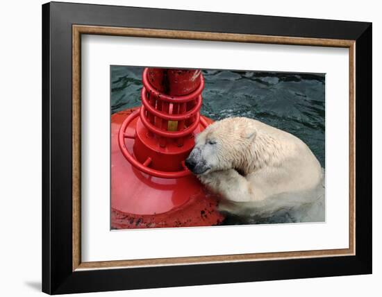 MY BUOY & MY MELON-Antje Wenner-Braun-Framed Photographic Print