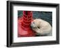 MY BUOY & MY MELON-Antje Wenner-Braun-Framed Photographic Print