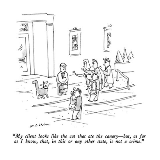 My Client Looks Like The Cat That Ate The Canary But As Far As I