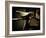 My Dad's Old Bike-Doug Chinnery-Framed Photographic Print