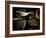 My Dad's Old Bike-Doug Chinnery-Framed Photographic Print