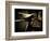 My Dad's Old Bike-Doug Chinnery-Framed Photographic Print