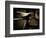 My Dad's Old Bike-Doug Chinnery-Framed Photographic Print