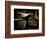 My Dad's Old Bike-Doug Chinnery-Framed Photographic Print
