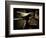 My Dad's Old Bike-Doug Chinnery-Framed Photographic Print