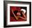 My Dream-Sterling Brown-Framed Art Print