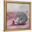 My Elephant Friend-Nancy Tillman-Framed Stretched Canvas