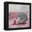 My Elephant Friend-Nancy Tillman-Framed Stretched Canvas