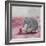 My Elephant Friend-Nancy Tillman-Framed Photographic Print