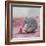 My Elephant Friend-Nancy Tillman-Framed Photographic Print