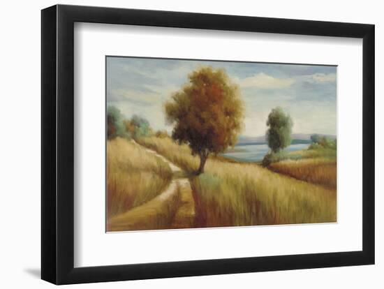 My Escape-Marc Lucien-Framed Art Print