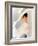 My Fair Lady, Audrey Hepburn 1964-null-Framed Photo