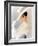 My Fair Lady, Audrey Hepburn 1964-null-Framed Photo