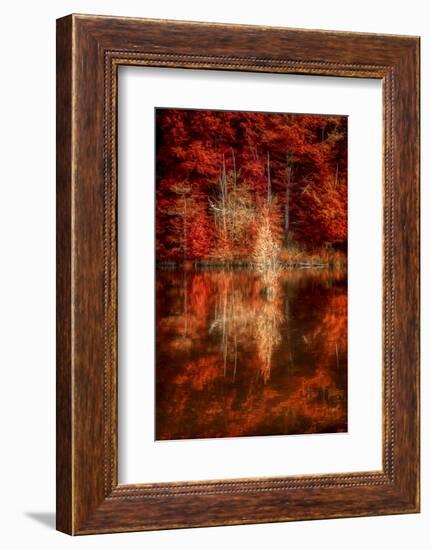 My Favorite Things-Philippe Sainte-Laudy-Framed Photographic Print