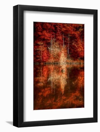 My Favorite Things-Philippe Sainte-Laudy-Framed Photographic Print