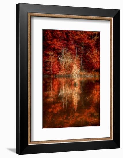 My Favorite Things-Philippe Sainte-Laudy-Framed Photographic Print