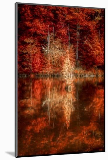 My Favorite Things-Philippe Sainte-Laudy-Mounted Photographic Print