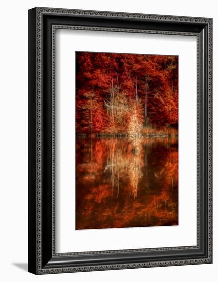 My Favorite Things-Philippe Sainte-Laudy-Framed Photographic Print