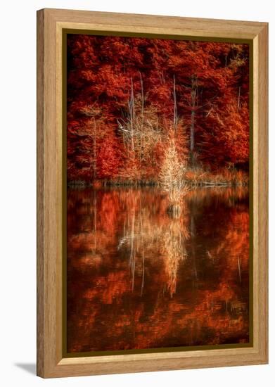 My Favorite Things-Philippe Sainte-Laudy-Framed Premier Image Canvas