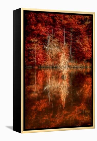 My Favorite Things-Philippe Sainte-Laudy-Framed Premier Image Canvas