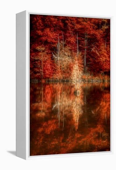 My Favorite Things-Philippe Sainte-Laudy-Framed Premier Image Canvas