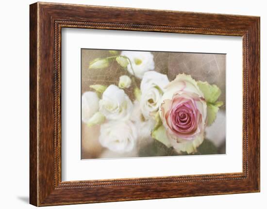 My Friend the Rose-Viviane Fedieu Daniel-Framed Photographic Print