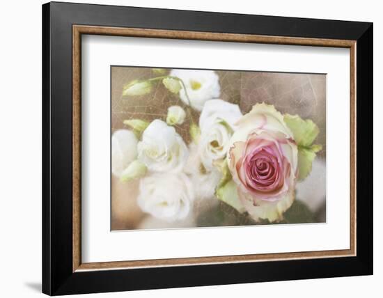 My Friend the Rose-Viviane Fedieu Daniel-Framed Photographic Print