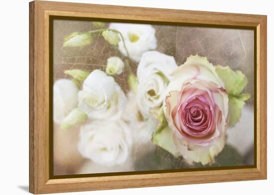 My Friend the Rose-Viviane Fedieu Daniel-Framed Premier Image Canvas