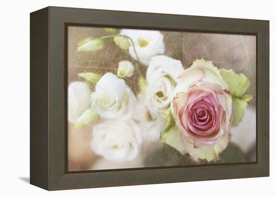 My Friend the Rose-Viviane Fedieu Daniel-Framed Premier Image Canvas