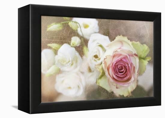 My Friend the Rose-Viviane Fedieu Daniel-Framed Premier Image Canvas