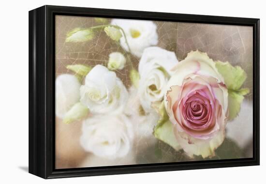 My Friend the Rose-Viviane Fedieu Daniel-Framed Premier Image Canvas