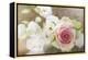 My Friend the Rose-Viviane Fedieu Daniel-Framed Premier Image Canvas