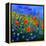 My Garden 88512-Pol Ledent-Framed Stretched Canvas