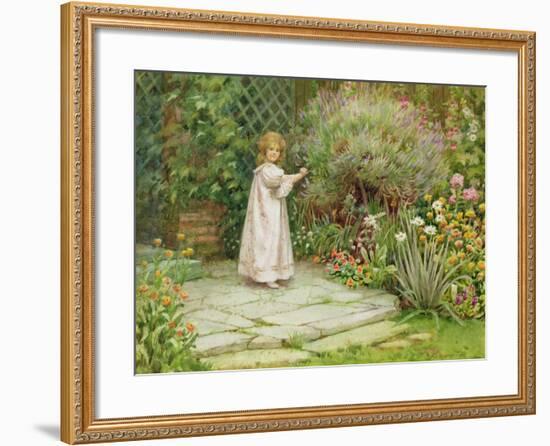 My Garden-William Ashburner-Framed Giclee Print