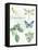 My Greenhouse Botanical II-Lisa Audit-Framed Stretched Canvas