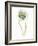 My Greenhouse Single Poppy I-Lisa Audit-Framed Art Print