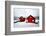 My House Is Your Home-Philippe Sainte-Laudy-Framed Photographic Print