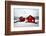 My House Is Your Home-Philippe Sainte-Laudy-Framed Photographic Print