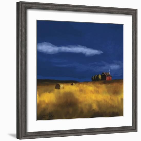 My House-Tandi Venter-Framed Giclee Print