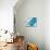 My Island Of Blue-Ajoya Grace-Mounted Art Print displayed on a wall