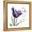 My Love Tulip-Albert Koetsier-Framed Stretched Canvas