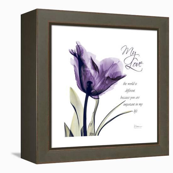 My Love Tulip-Albert Koetsier-Framed Stretched Canvas