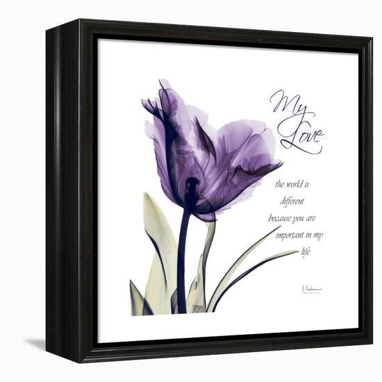 My Love Tulip-Albert Koetsier-Framed Stretched Canvas