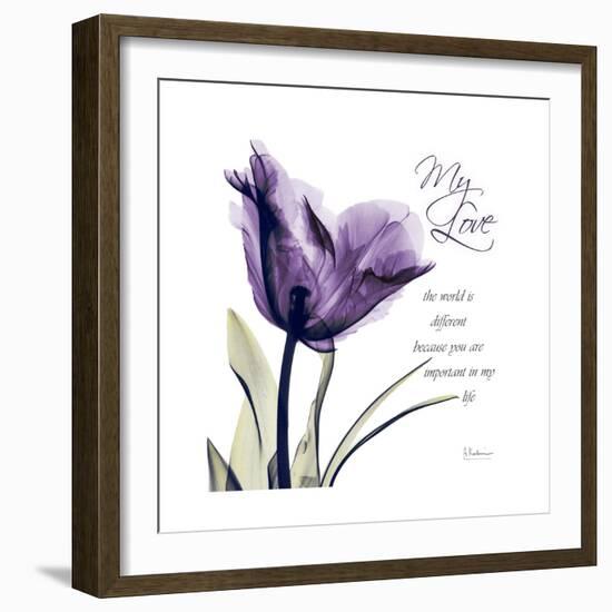 My Love Tulip-Albert Koetsier-Framed Premium Giclee Print